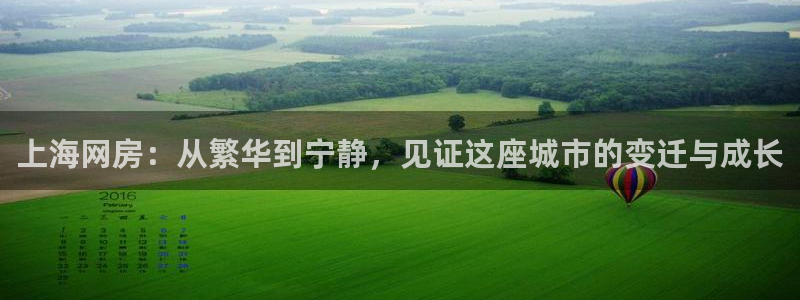 新宝5公司：上海网房：从繁华到宁静，见证这座城市的变迁与成长