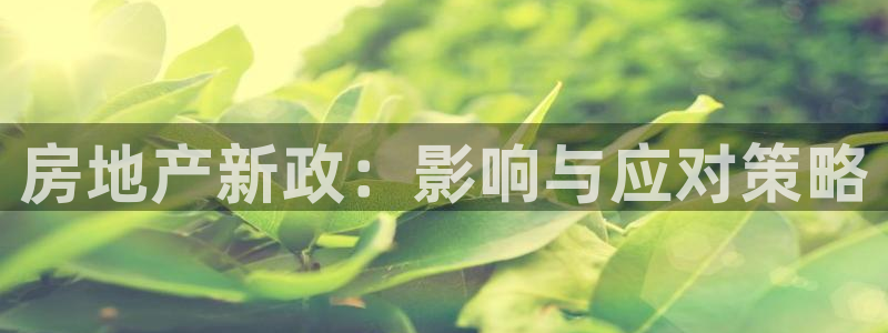 新宝那2O5O5O：房地产新政：影响与应对策略