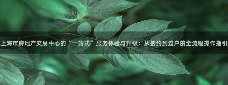 新宝5怎么代理：上海市房地产交易中心的“一站式”服务体验与升