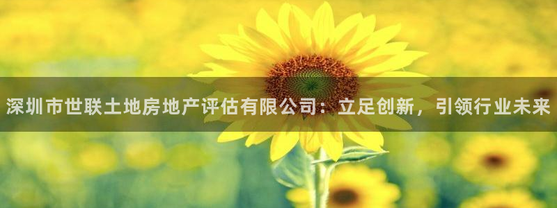 新宝5线路登录：深圳市世联土地房地产评估有限公司：立足创新，
