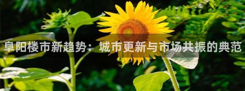 新宝5分彩：阜阳楼市新趋势：城市更新与市场共振的典范