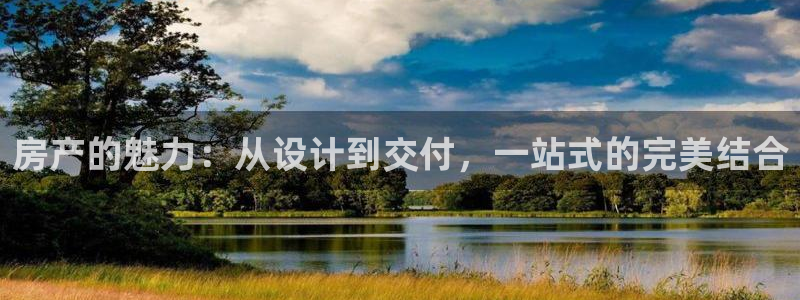 新宝5内部：房产的魅力：从设计到交付，一站式的完美结合