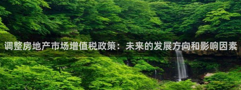 新宝5尤74OOO5：调整房地产市场增值税政策：未来的发展方