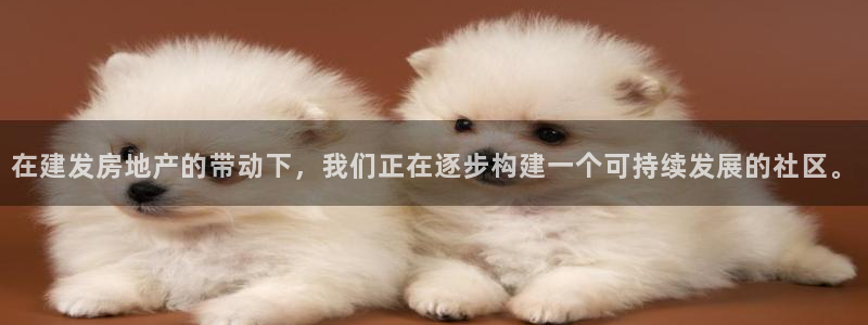 新宝5公司：在建发房地产的带动下，我们正在逐步构建一个可持续