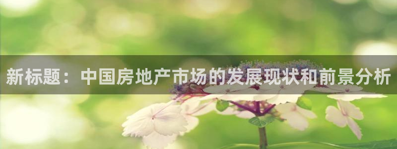 新宝5官方登录入口：新标题：中国房地产市场的发展现状和前景分