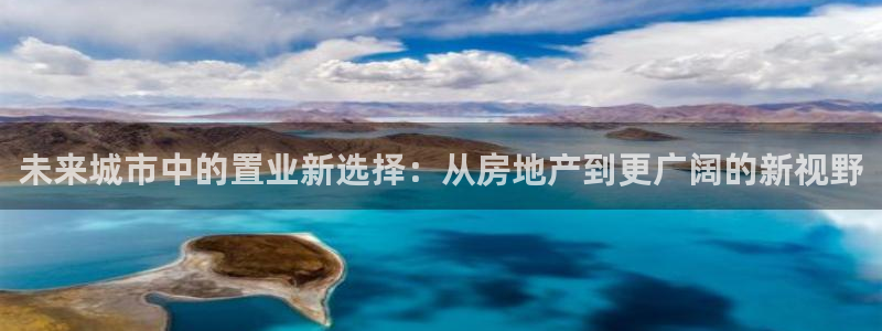 新宝那2O5O5O：未来城市中的置业新选择：从房地产到更广阔