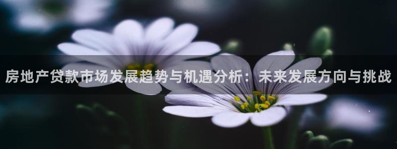 新宝5苹果手机下载：房地产贷款市场发展趋势与机遇分析：未来发