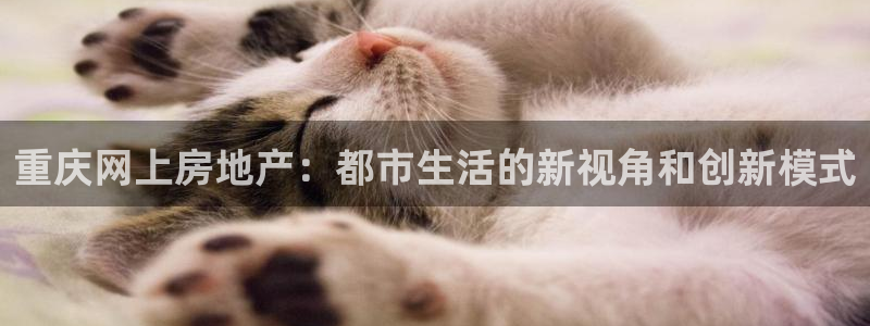 新宝5彩票是正规平台吗：重庆网上房地产：都市生活的新视角和创