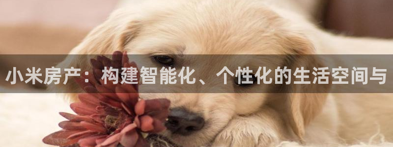 新宝5寂创33300散：小米房产：构建智能化、个性化的生活空