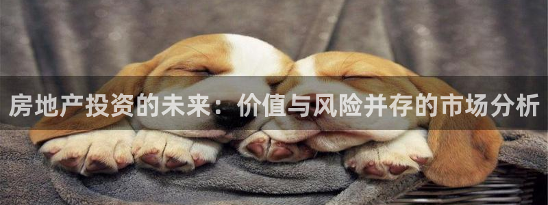 新宝rm5：房地产投资的未来：价值与风险并存的市场分析