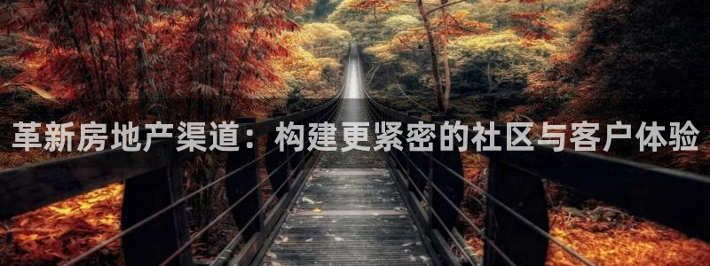 新宝5登录入口网址：革新房地产渠道：构建更紧密的社区与客户体