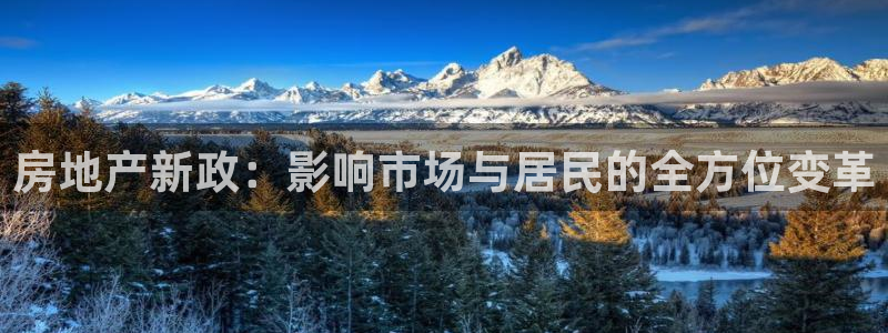 新宝5安卓版：房地产新政：影响市场与居民的全方位变革