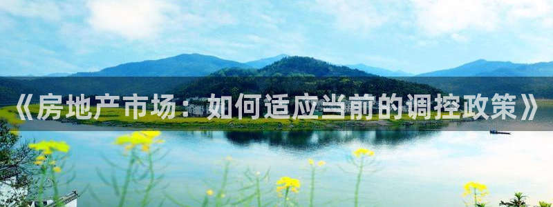 新宝5首页：《房地产市场：如何适应当前的调控政策》