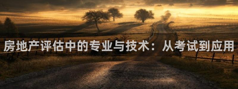 新宝5挂机：房地产评估中的专业与技术：从考试到应用