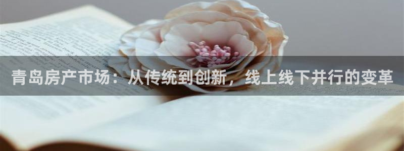 新宝5五：青岛房产市场：从传统到创新，线上线下并行的变革