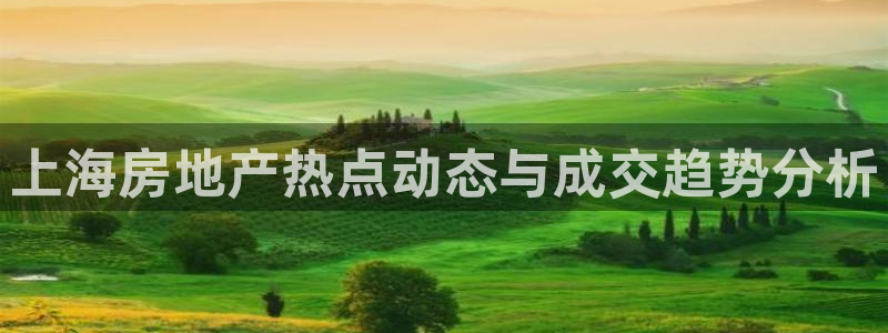 新宝新5：上海房地产热点动态与成交趋势分析