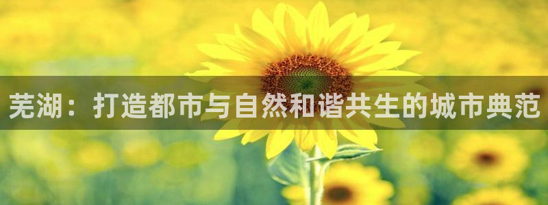 新宝5测：芜湖：打造都市与自然和谐共生的城市典范