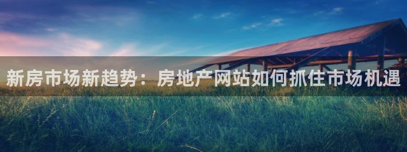新宝5注册首页：新房市场新趋势：房地产网站如何抓住市场机遇