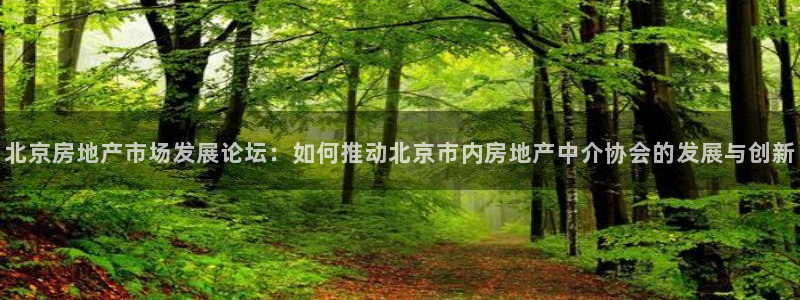 新宝j2O5O5O：北京房地产市场发展论坛：如何推动北京市内