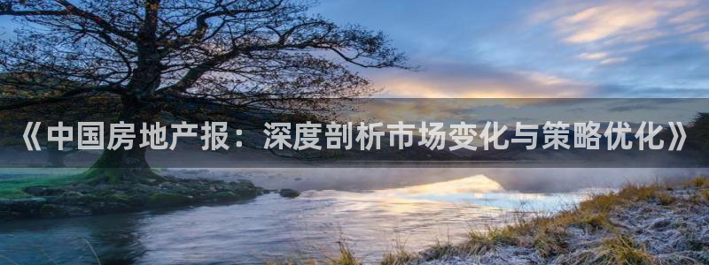 新宝5娱乐注：《中国房地产报：深度剖析市场变化与策略优化》