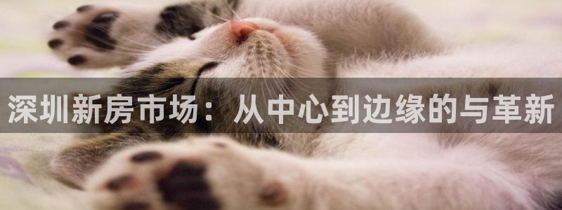 新宝5球维33 300：深圳新房市场：从中心到边缘的与革新