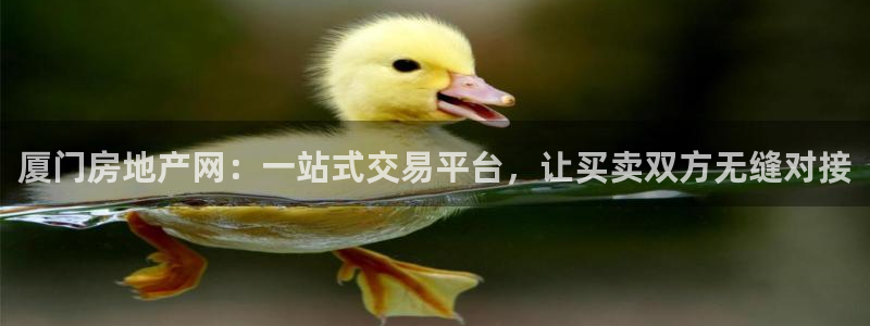 新宝5唯一：厦门房地产网：一站式交易平台，让买卖双方无缝对接