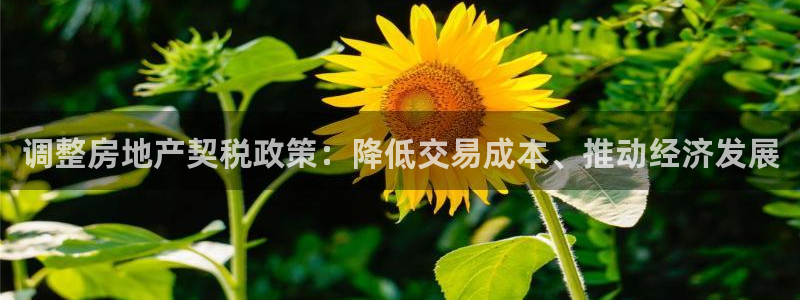 新宝5唯一：调整房地产契税政策：降低交易成本、推动经济发展