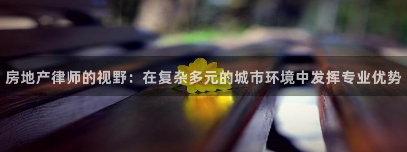 新宝5娱乐多：房地产律师的视野：在复杂多元的城市环境中发挥专
