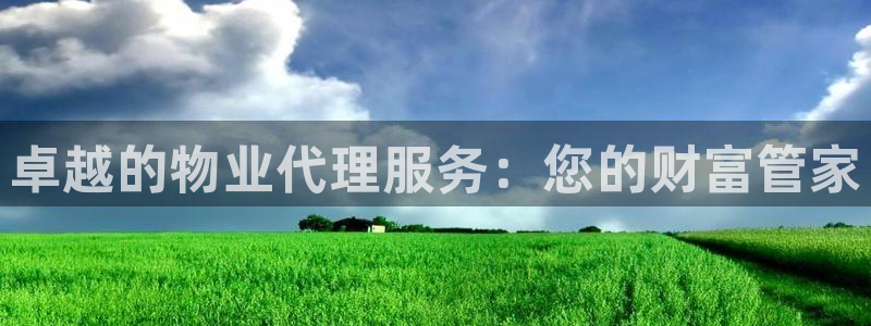新宝5蒋7O667：卓越的物业代理服务：您的财富管家