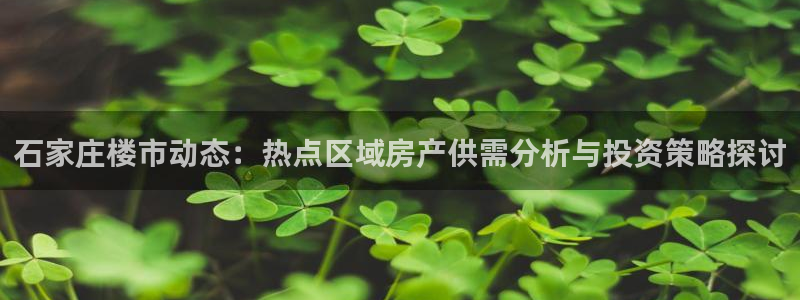 新宝5湫333 00：石家庄楼市动态：热点区域房产供需分析与