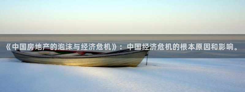 新宝5平台登陆：《中国房地产的泡沫与经济危机》：中国经济危机