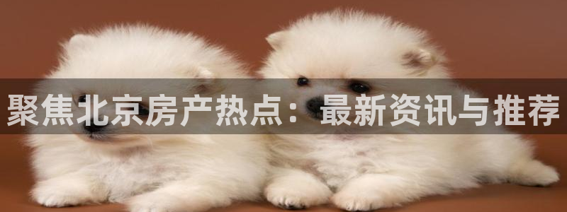 新宝5电脑登录网址：聚焦北京房产热点：最新资讯与推荐