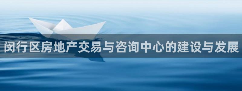 新宝5是什么样子的：闵行区房地产交易与咨询中心的建设与发展