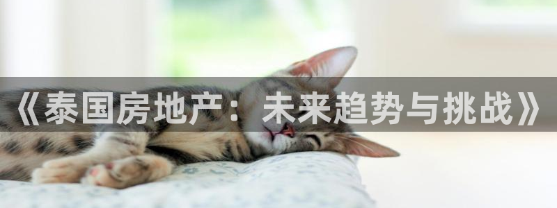 新宝5X：《泰国房地产：未来趋势与挑战》