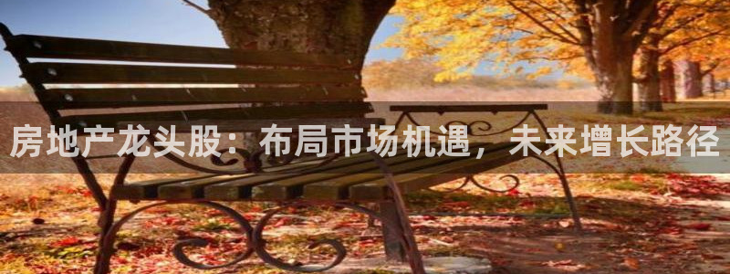 新宝5登录：房地产龙头股：布局市场机遇，未来增长路径