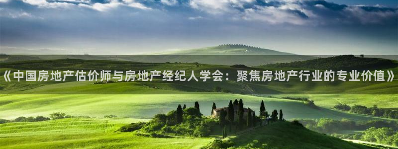 新宝5娱乐都：《中国房地产估价师与房地产经纪人学会：聚焦房地