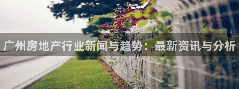 新宝娱乐5入口：广州房地产行业新闻与趋势：最新资讯与分析