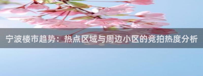 新宝5测速平台登录：宁波楼市趋势：热点区域与周边小区的竞拍热