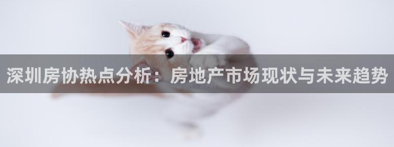 新宝5_测：深圳房协热点分析：房地产市场现状与未来趋势