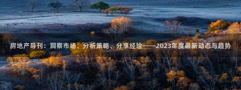 新宝5娱乐然：房地产导刊：洞察市场、分析策略、分享经验——2