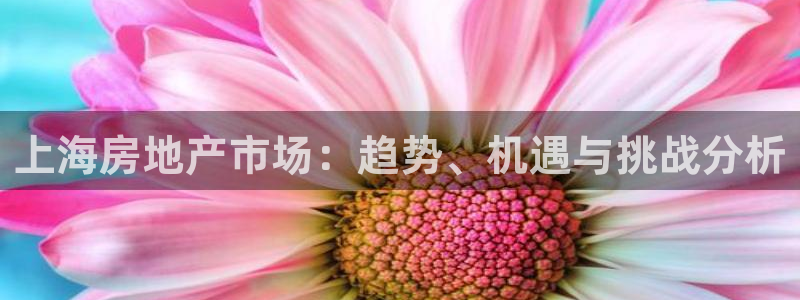 新宝5 唯一：上海房地产市场：趋势、机遇与挑战分析