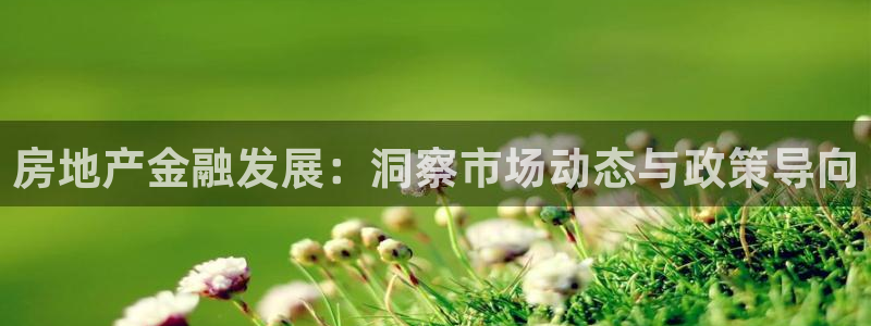 新宝5登陆地址：房地产金融发展：洞察市场动态与政策导向