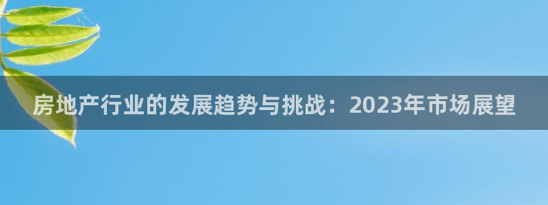 新宝5测速下载：房地产行业的发展趋势与挑战：2023年市场展