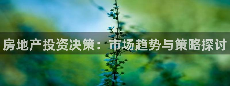 新宝5娱乐多：房地产投资决策：市场趋势与策略探讨