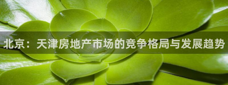 新宝5在哪里：北京：天津房地产市场的竞争格局与发展趋势