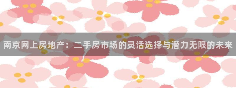 新宝5怎么下载到桌面：南京网上房地产：二手房市场的灵活选择与