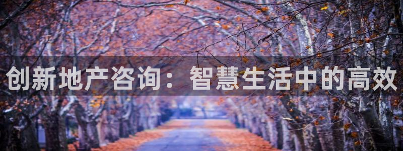 新宝5培训：创新地产咨询：智慧生活中的高效
