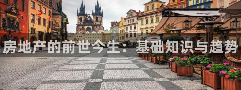 新宝5是谁的：房地产的前世今生：基础知识与趋势