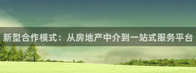 新宝5线路登录检测：新型合作模式：从房地产中介到一站式服务平