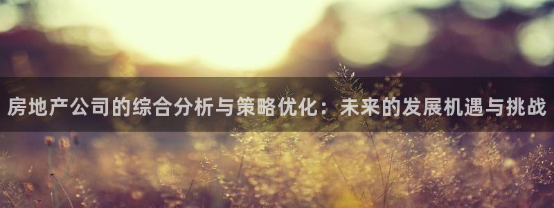新宝5户端：房地产公司的综合分析与策略优化：未来的发展机遇与